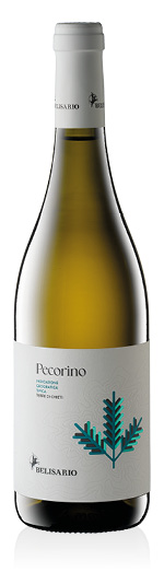 Terre di Chieti Pecorino IGT 2024 Belisario