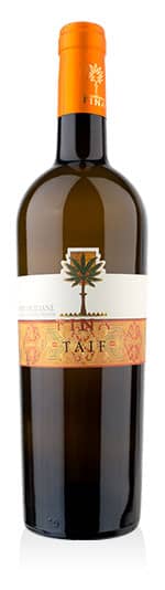 Terre Siciliane IGP Zibibbo Taif 2024 Cantine Fina
