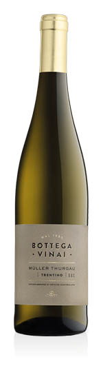 Trentino DOC Bottega Vinai Müller Thurgau 2024 Cavit
