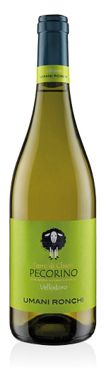 Terre di Chieti Pecorino IGT Vellodoro 2024 Umani Ronchi