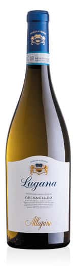 Lugana DOC Oasi Mantellina 2024 Allegrini