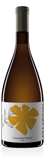 Terre d'Abruzzo IGP Pecorino 2024 Cantina Tollo