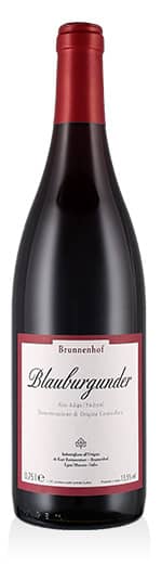 Südtirol - Alto Adige DOC Blauburgunder 2023 Brunnenhof