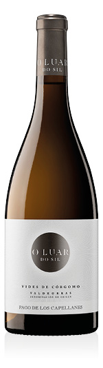 Valdeorras DO O Luar Do Sil Vides De Córgomo 2022 Pago de Los Capellanes