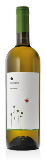 Umbria IGT Grechetto Fiordaliso 2024 Cantina Roccafiore