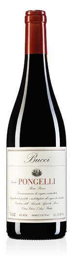 Rosso Piceno DOC Tenuta Pongelli 2022 Villa Bucci
