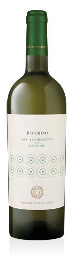 Abruzzo Superiore DOC Pecorino 2024 Orlandi Contucci Ponno