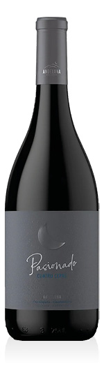 Tupungato IG Pasionado Cuatro Cepas 2019 Andeluna