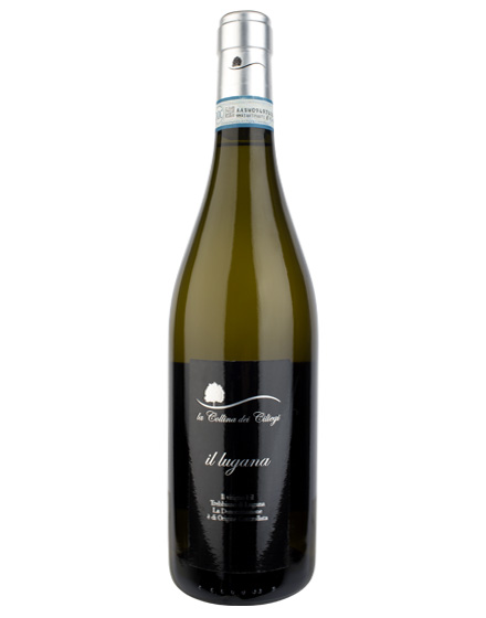 Lugana DOC Il Lugana 2015 La Collina dei Ciliegi