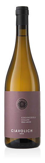 Colline Pescaresi Cococciola IGT 2024 Ciavolich