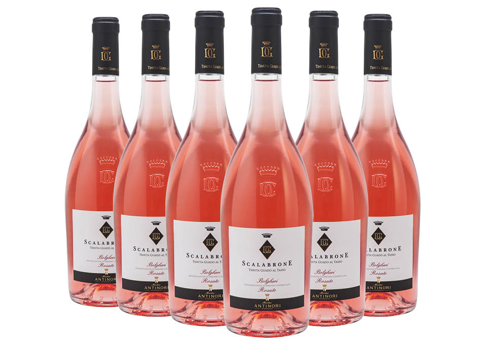 Bolgheri DOC Guado al Tasso Scalabrone 2025 Marchesi Antinori