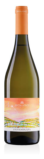 Marca Trevigiana Souvignier Gris IGT 2024 Soligo