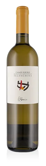 Campi Flegrei DOC Falanghina 2024 La Sibilla