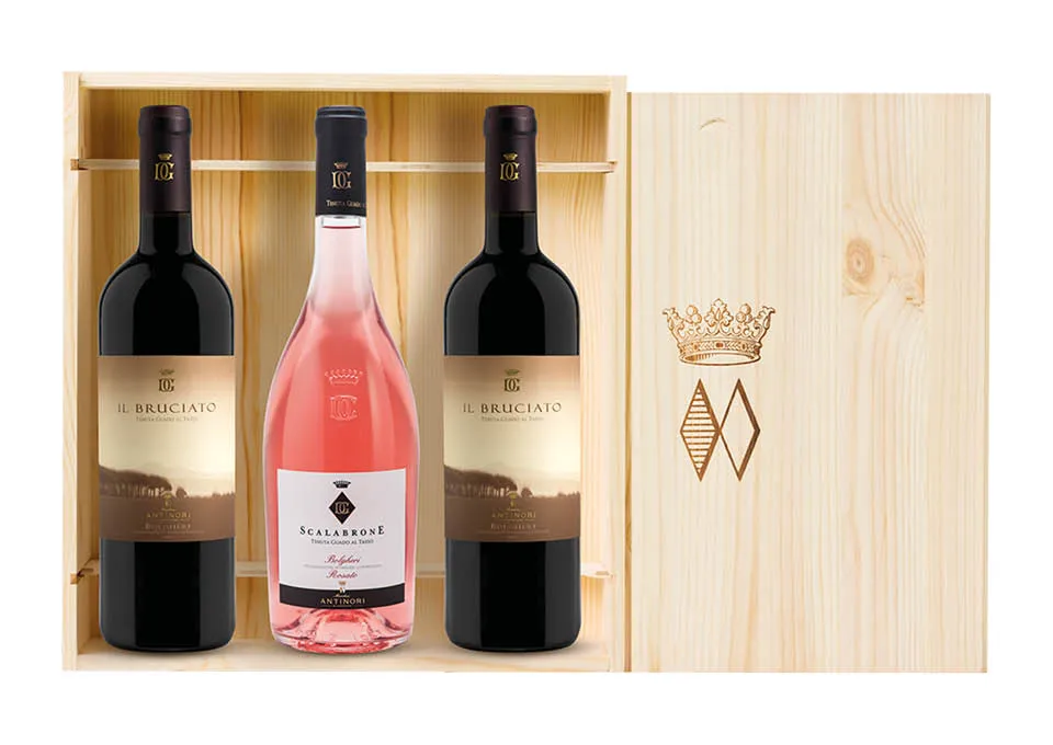 Antinori Bolgheri Guado al Tasso Case