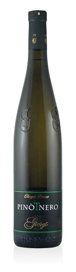 Oltrepò Pavese DOC Pinot Nero Frizzante 2024 Giorgi