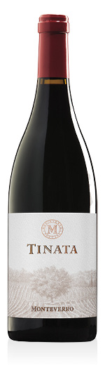 Toscana IGT Tinata 2020 Monteverro