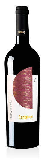 Salento IGP Susumaniello Cantalupi 2023 Conti Zecca