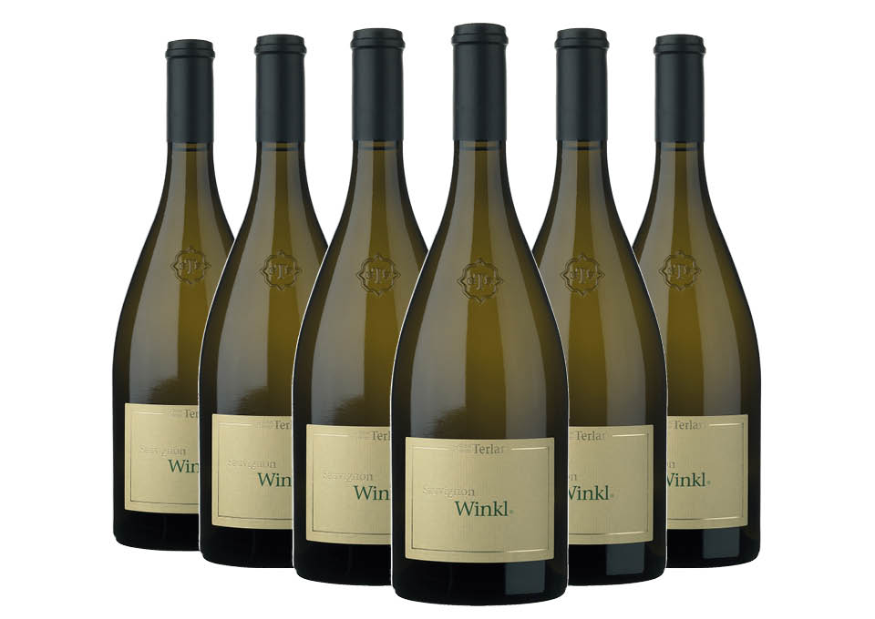 Südtirol - Alto Adige Terlano DOC Sauvignon Winkl 2025 Cantina Terlano