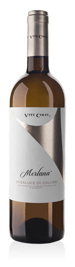 Erbaluce di Caluso DOCG Merlana 2025 Vite Colte