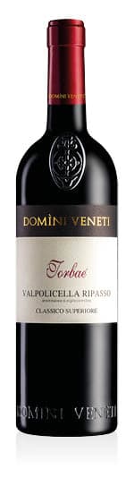 Valpolicella Ripasso Classico Superiore DOC Vigneti di Torbe 2023 Domini Veneti