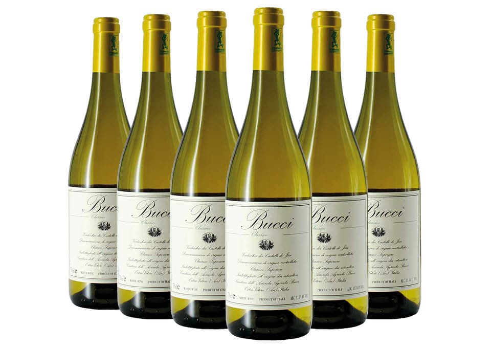 Verdicchio dei Castelli di Jesi Classico Superiore DOC Bucci 2024 Villa Bucci