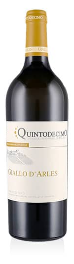 Greco di Tufo DOCG Giallo d'Arles 2025 Quintodecimo