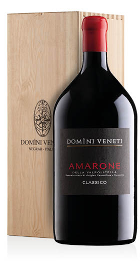 Amarone della Valpolicella Classico DOCG 2021 Domini Veneti