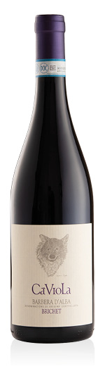 Barbera d’Alba DOC Brichet 2025 Ca' Viola
