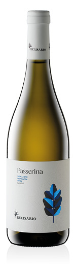 Marche IGT Passerina 2025 Belisario