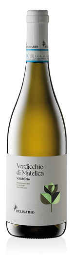 Verdicchio di Matelica DOC Valbona 2025 Belisario