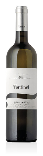 Friuli Grave DOC Borgo Tesis Pinot Grigio 2025 Fantinel