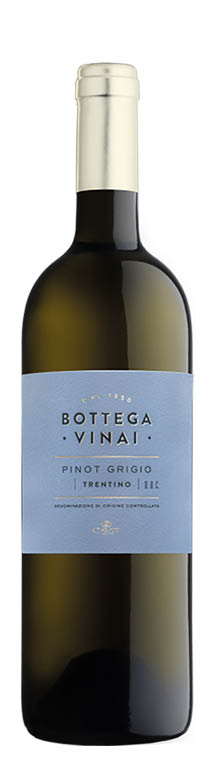 Trentino DOC Bottega Vinai Pinot Grigio 2025 Cavit