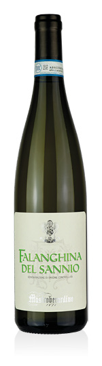 Falanghina del Sannio DOC 2025 Mastroberardino