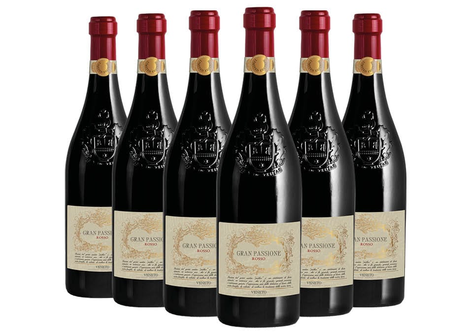 Veneto IGT Rosso Gran Passione 2025 Botter