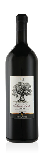 Langhe DOC Nebbiolo Ruj 2021 San Silvestro