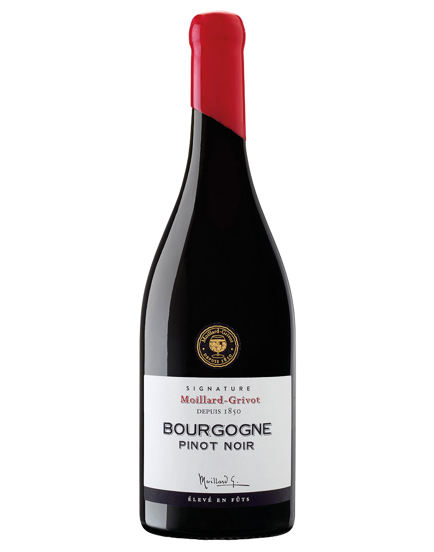 Bourgogne AOP Pinot Noir Cuvée Signature 2024 Maison Moillard
