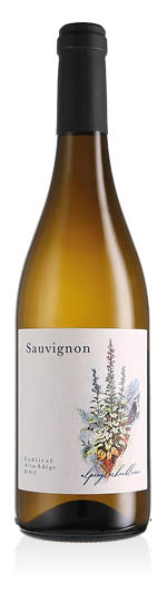 Südtirol - Alto Adige DOC Sauvignon 2025 Blumenfeld