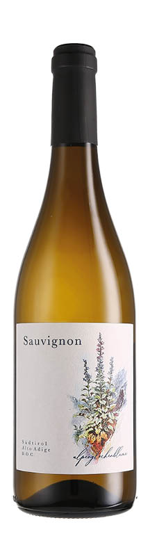 Südtirol - Alto Adige DOC Sauvignon 2025 Blumenfeld