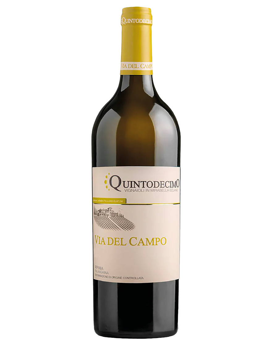 Irpinia DOC Falanghina Via del Campo 2025 Quintodecimo