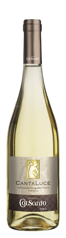 Umbria IGT Trebbiano Spoletino Cantaluce 2023 Fattoria Colsanto
