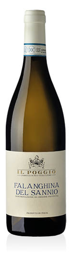 Falanghina del Sannio DOC 2025 Il Poggio