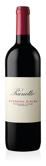 Barbera d'Alba DOC 2025 Prunotto