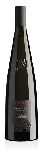 Trentino DOC Pinot Grigio Terre di Valfredda 2025 Ca' Montini