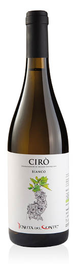 Cirò DOC Bianco 2025 Tenuta del Conte