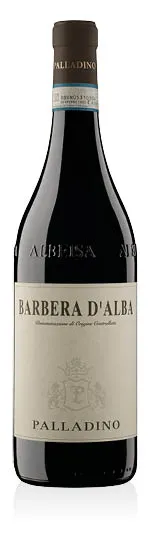 Barbera d'Alba Superiore DOCG Bricco delle Olive 2023 Palladino