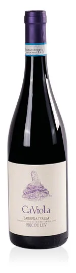 Barbera d'Alba DOC Bric du Luv 2024 Ca' Viola