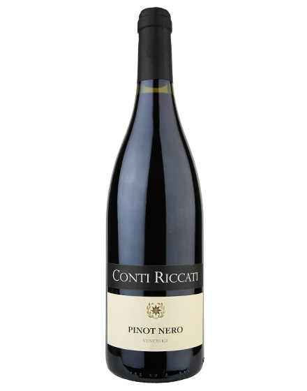 Veneto IGT Pinot Nero 2013 Conti Riccati