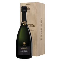 Champagne AOC Brut Blanc de Noirs Grand Cru La Côte aux Enfants Bol