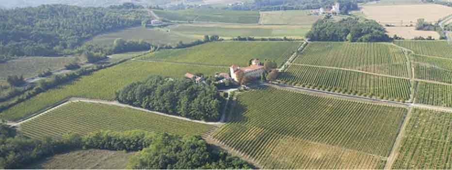 LA TOLEDANA - Gavi in its maximum expression