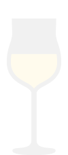 tulipano